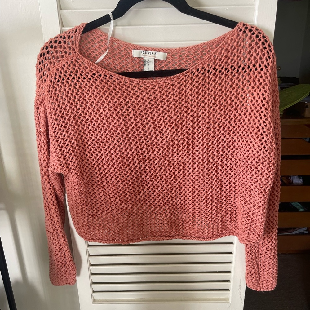 Mesh Long Sleeve Crop Top